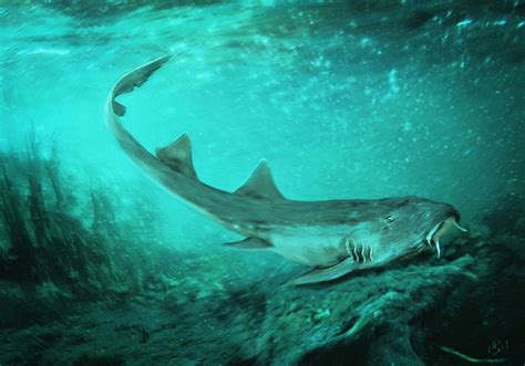 Scientists Discover Shark Teeth In Rock Found Near Sue The T Rex The