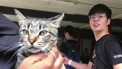 Kalau di indonesia, harga tiket masuk ke taman bogor safari yang menyimpan panda jauh lebih tinggi dari zoo negara (dalam usd 27 berbanding usd 11 untuk zoo negara). Zoo Negara Malaysia 2020 - YouTube