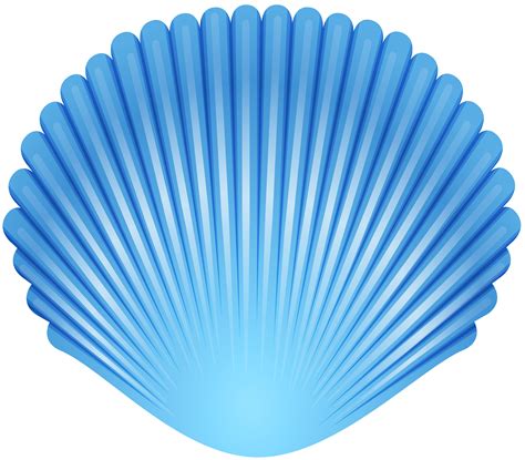 Seashell Clipart Png Free Logo Image