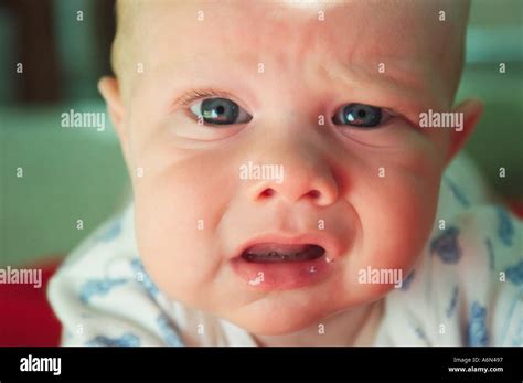 Newborn Baby Portrait Stock Photo Alamy