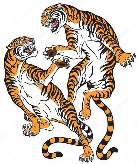 Pair Tigers Battle Two Fighting Big Cats Tattoo Style Vector Stock