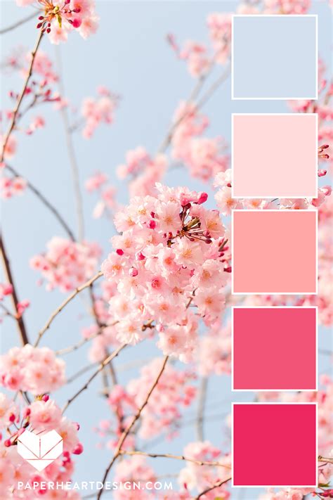 Color Palette Spring Cherry Blossoms — Paper Heart Design