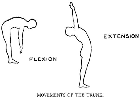Lumbar Flexion And Extension Movement Rom Exercises