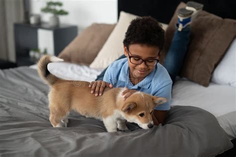 Smiling Boy Playing With A Puppy And Looking Happy Stock Image Image