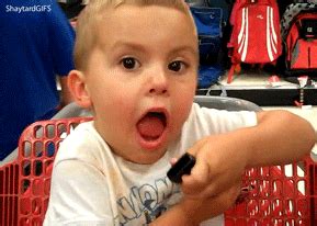 Shaytards Gifs Page Wifflegif