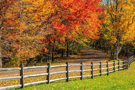 When Is Peak Fall Foliage In Northern Virginia In 2019