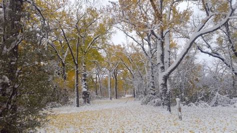 Record Breaking Amounts Of Snow Fell In North Dakota October 2018