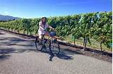 Marlborough Wine Tours By Bike Photos