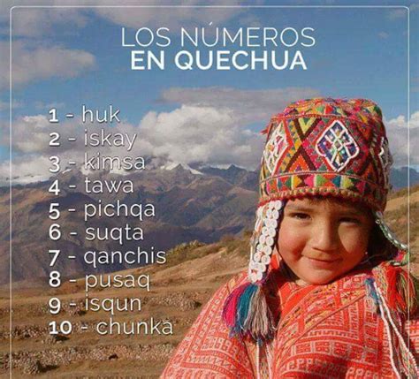 Números En Quechua Tortuga
