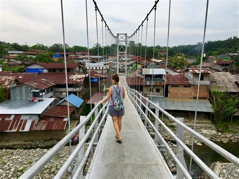 10 Dinge Die Sie Vor Ihrem Besuch Von Bukit Lawang Wissen Sollten Discover Sumatra