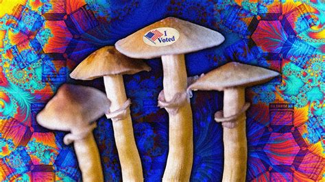 Oregon Measure 109 And Dr Bronners Inside Oregons Vote For Legal Shrooms Therapy Gq