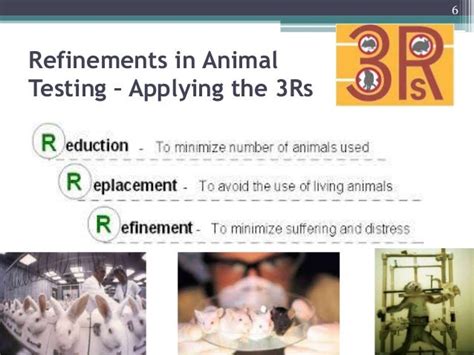 Ich Ethics And Animal Experimentation