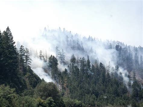 690 Oregon Forest Fires Stock Photos Pictures And Royalty Free Images