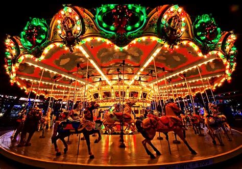 Carousel Gardens Amusement Park Rides Beautiful Insanity