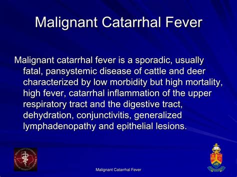 Ppt Malignant Catarrhal Fever Powerpoint Presentation Free Download