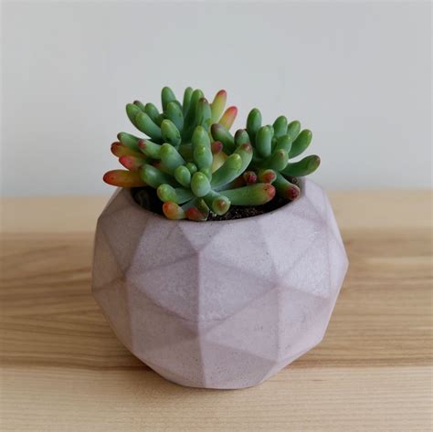 Intentional Grain Small Geometric Planter Geometric Planter Planters