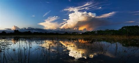 Free Images Landscape Sea Water Horizon Marsh Swamp Light