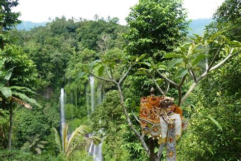 8 Jaw Dropping Ubud Waterfalls You Cant Miss Hoponworld