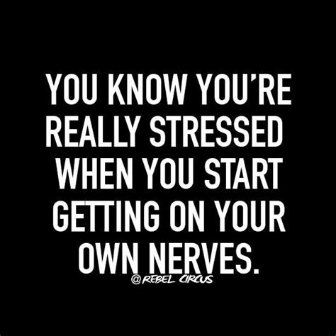 Funny Quotes About Stress And Anxiety Shortquotescc