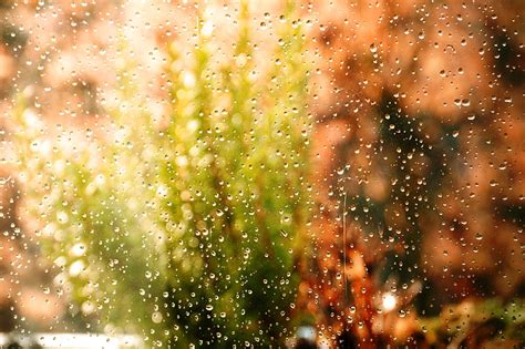 Glass Drops Wet Water Blur Glare Hd Wallpaper Peakpx