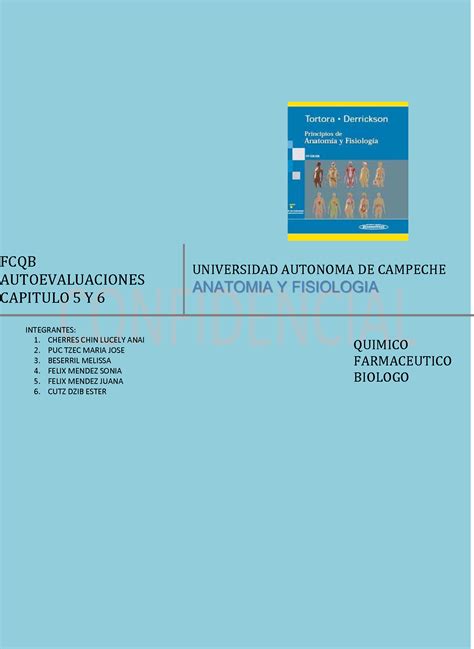 SOLUTION Principios De Anatom A Y Fisiolog A 11va Edici N Tortora Y