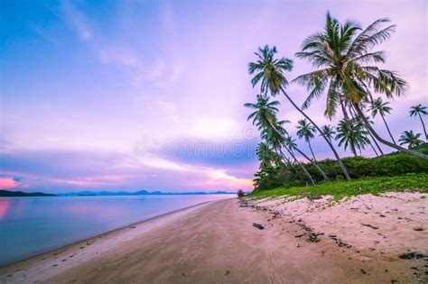 Beautiful Tropical Beach And Sea With Coconut Palm Tree At Sunrise Time