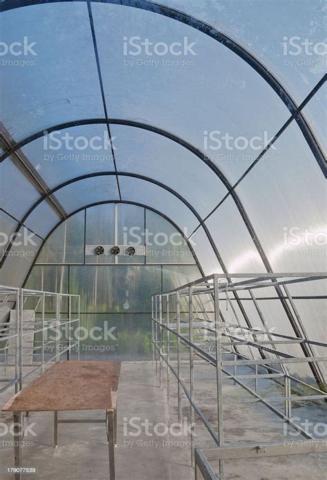 Inside Empty Plant Green House Stock Photo Download Image Now