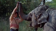 Ver Anoop and the Elephant (1972) Película Gratis en Español - Cuevana 1