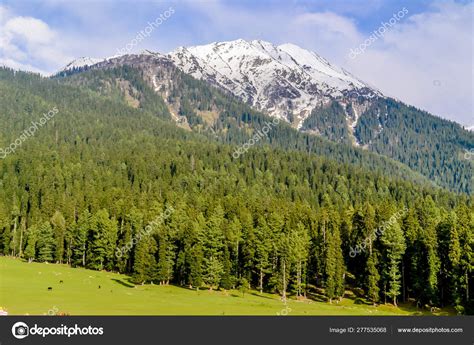Stunning Photograph Of Kashmir Valley Paradise On Earth Beautiful