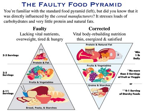 The Wrong Food Pyramid Charlott Zsoldos
