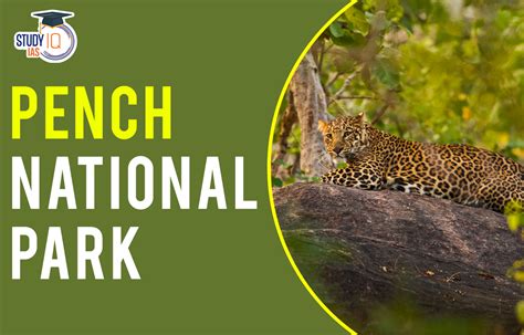 Pench National Park History Vegetation Flora And Fauna