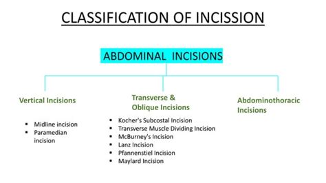 Surgical Incisions On Abdominal Wall Ppt