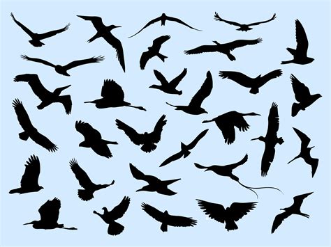 30 Different Flying Birds 226399 Vector Art At Vecteezy