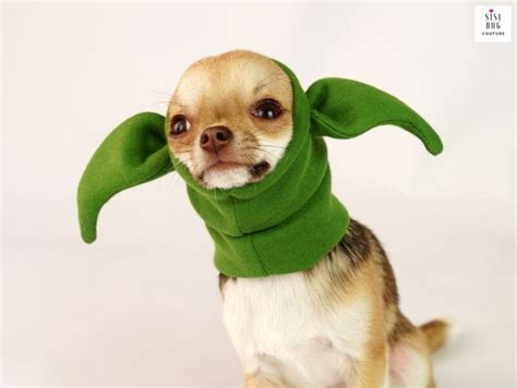 20 Pawsitively Funny Halloween Costumes For Dogs Of All