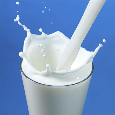 Benefits Of Milk Crave Bits