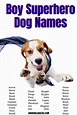 Amazing Dog Names - inbabu