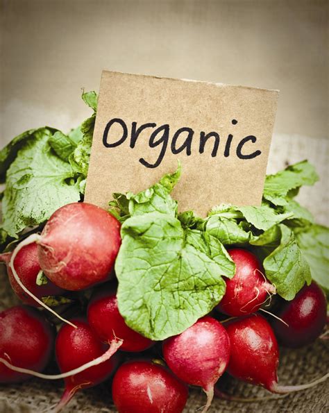 Going Organic What You Need To Know Agriculture And Food