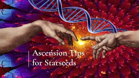 Ascension Tips For Starseeds