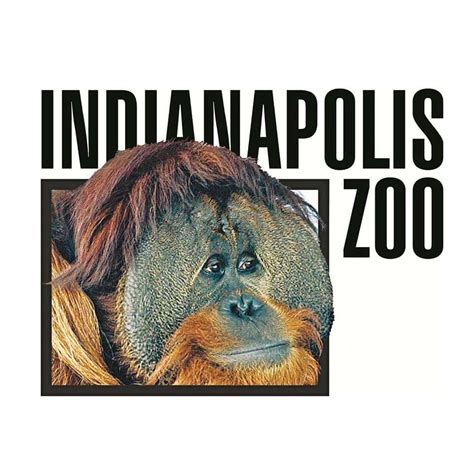 Indianapolis Zoo To Reopen Soon With Some Restrictions 1049 Waxi