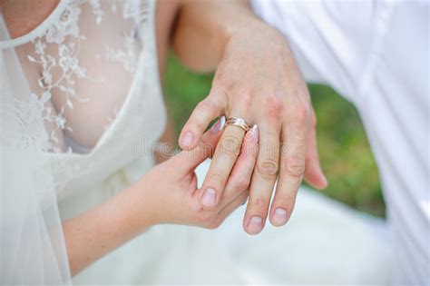 Bride Wears A Gold Wedding Ring On The Finger Of The Groom Stock Image
