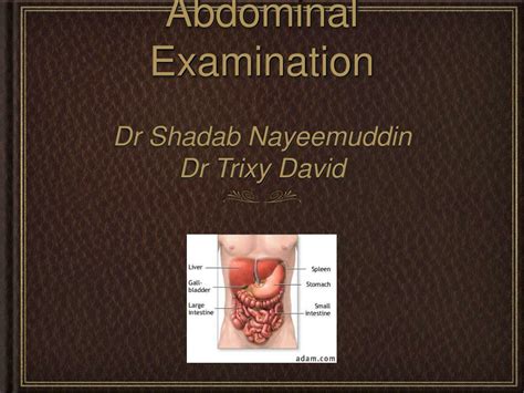 Ppt Abdominal Examination Powerpoint Presentation Free Download Id