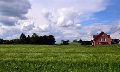 Free Picture Landscape Agriculture Blue Sky Cloud Green Grass
