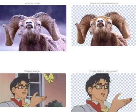 How to remove background from images with Remove.bg - AI ... Why remove background from a picture.