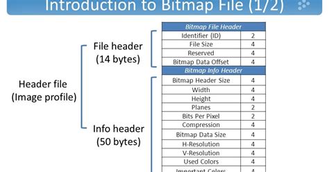 How To Encrypt Bitmap Image In C