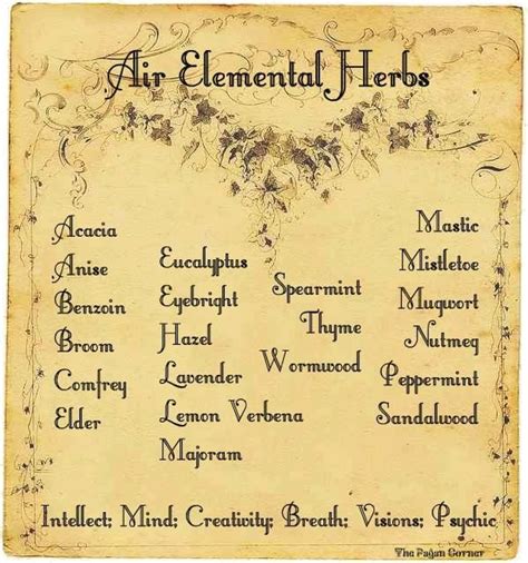 Pin By Crystal Clemmons On My Style 3 Magic Herbs Magical Herbs Herbs