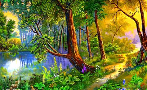 Beautiful Forest Scene Wallpaper Miinullekko