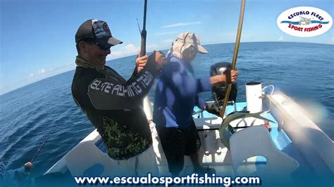 Pesca De Dorados En Mazatlan Escualo Sport Fishing Youtube