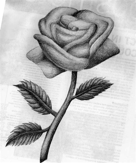 Rose By Darkflower92 On Deviantart