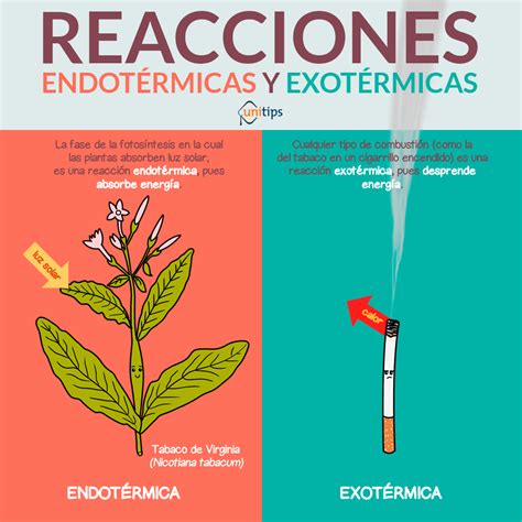 Química Reacciones Endotérmicas Y Exotérmicas Temas Ceneval Exani Ii