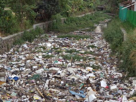 Antara punca pencemaran sungai ialah pembuangan sampah sarap ke dalam sungai. Tetamu Istimewa: Tugasan Geografi PT3 2014: Faktor atau ...